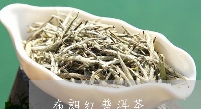 布朗红普洱茶/2023042769746