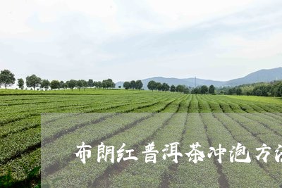 布朗红普洱茶冲泡方法/2023062883973