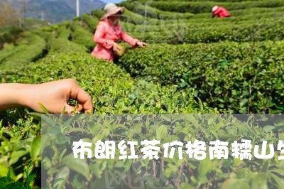 布朗红茶价格南糯山生茶口感/2023052674039