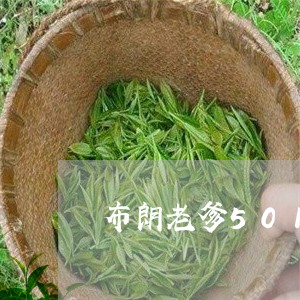 布朗老爹501普洱茶/2023062752703