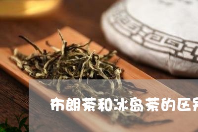 布朗茶和冰岛茶的区别/2023092375847