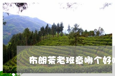 布朗茶老班章哪个好喝/2023061243704