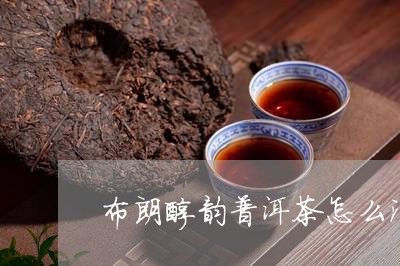 布朗醇韵普洱茶怎么泡/2023062456038