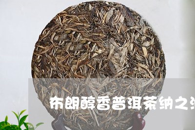 布朗醇香普洱茶纳之润/2023062267270