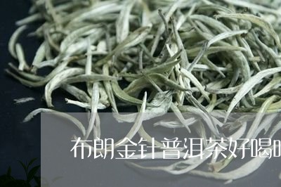 布朗金针普洱茶好喝吗/2023073005158