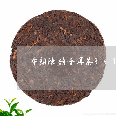 布朗陈韵普洱茶357g/2023110308414