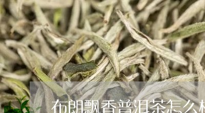 布朗飘香普洱茶怎么样/2023062479404