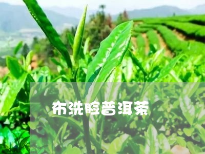 布洗脸普洱茶/2023042606639