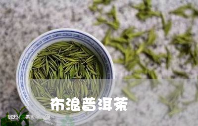 布浪普洱茶/2023112698359