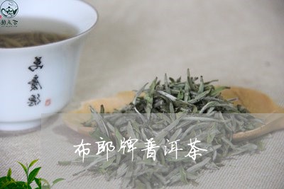 布郎牌普洱茶/2023042581631