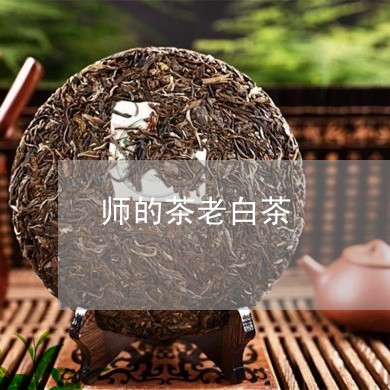 师的茶老白茶/2023082607304