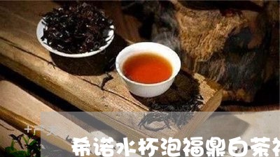 希诺水杯泡福鼎白茶视频/2023102514028