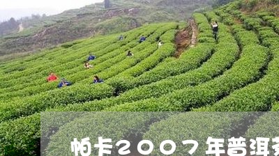 帕卡2007年普洱茶/2023112448361