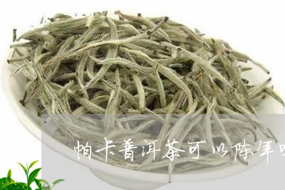 帕卡普洱茶可以陈年吗/2023062258473