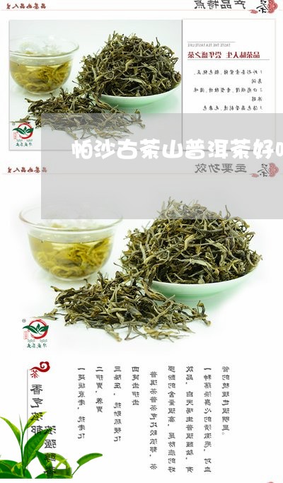 帕沙古茶山普洱茶好吗/2023062489470