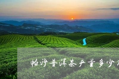 帕沙普洱茶产量多少斤一克/2023082921585