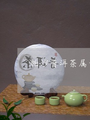 帕沙普洱茶属于什么级别/2023103142513