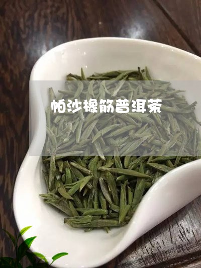 帕沙橡筋普洱茶/2023112622595