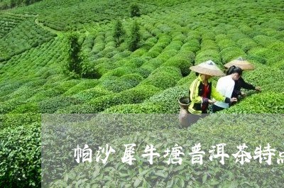 帕沙犀牛塘普洱茶特点/2023073083938