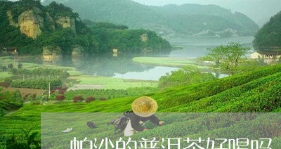 帕沙的普洱茶好喝吗/2023121649574