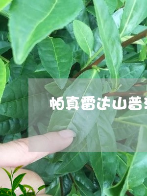 帕真雷达山普洱茶特点/2023073113825