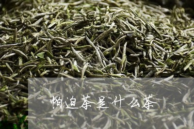 帕迫茶是什么茶/2023042925661