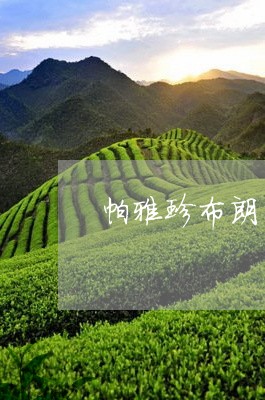 帕雅珍布朗山普洱茶/2023120526181