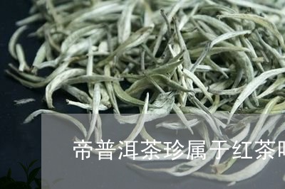 帝普洱茶珍属于红茶吗/2023120681748