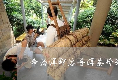 帝泊洱即溶普洱茶珍30支/2023112551693