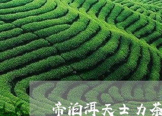 帝泊洱天士力茶珍图片/2023092014036