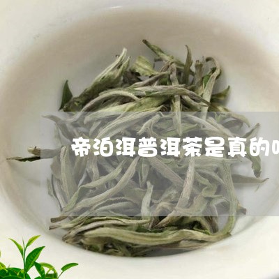 帝泊洱普洱茶是真的吗/2023092805158