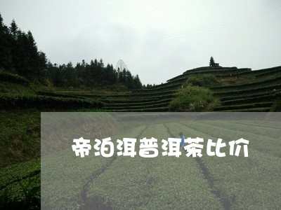 帝泊洱普洱茶比价/2023112591824