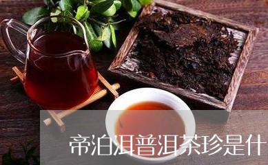 帝泊洱普洱茶珍是什么/2023092872917