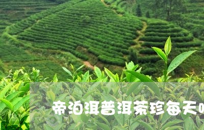 帝泊洱普洱茶珍每天喝几包/2023082999615