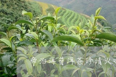 帝泊洱普洱茶珍清火吗/2023072218259