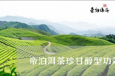 帝泊洱茶珍甘醇型功效/2023060993825