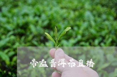 帝益普洱茶直播/2023101659482