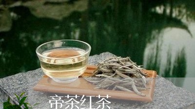 帝茶红茶/2023090192847