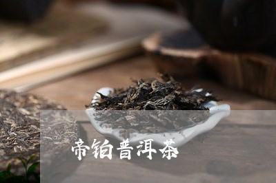 帝铂普洱茶/2023090521693