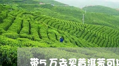 带5万去买普洱茶可以吗/2023121683037