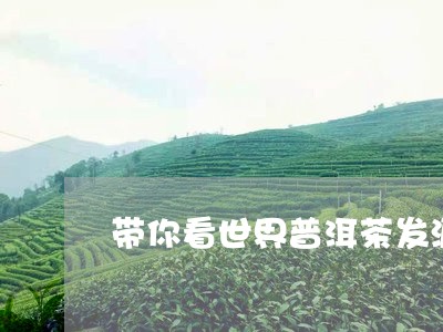 带你看世界普洱茶发源地/2023081709382