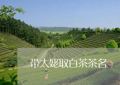 带太姥取白茶茶名/2023062032727