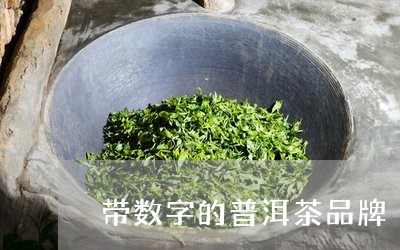 带数字的普洱茶品牌/2023120518369