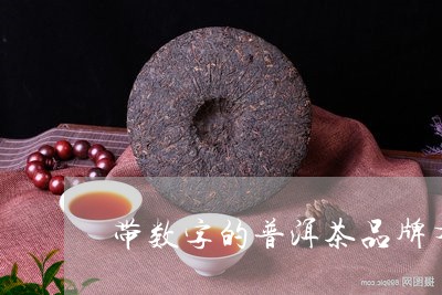 带数字的普洱茶品牌有哪些/2023101065360