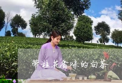 带桂花香味的白茶/2023062049491