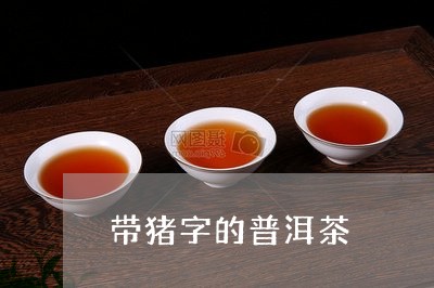 带猪字的普洱茶/2023110399494