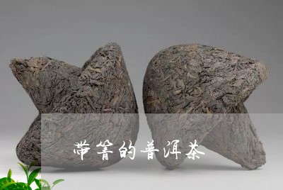 带箐的普洱茶/2023042893874