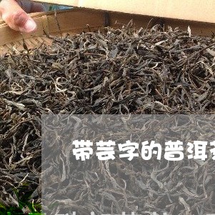 带芸字的普洱茶师傅有哪些/2023110468169