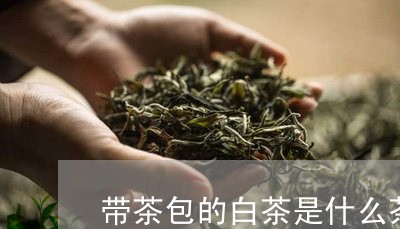 带茶包的白茶是什么茶/2023100190473