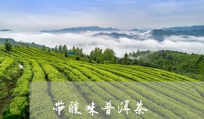 带酸味普洱茶/2023091372704